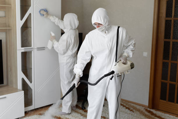 24/7 Emergency Odor Removal experts in East Canton, OH